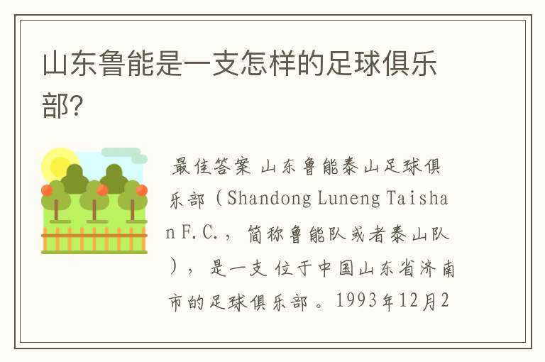 山东鲁能是一支怎样的足球俱乐部?