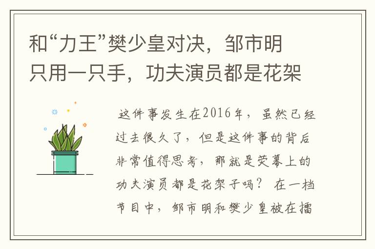 和“力王”樊少皇对决,邹市明只用一只手,功夫演员都是花架子吗?