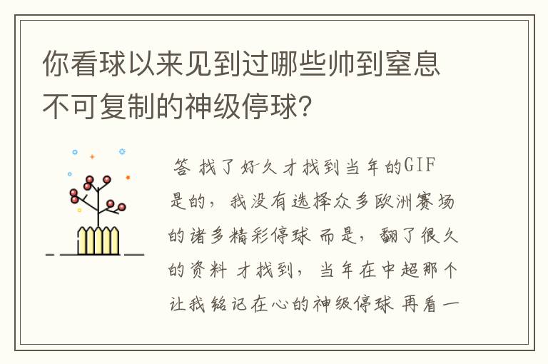 你看球以来见到过哪些帅到窒息不可复制的神级停球?
