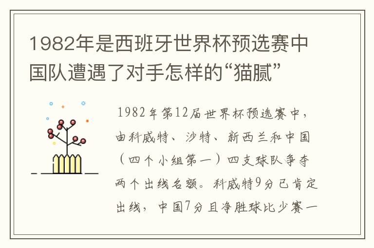 1982年是西班牙世界杯预选赛中国队遭遇了对手怎样的“猫腻”而无缘出线: