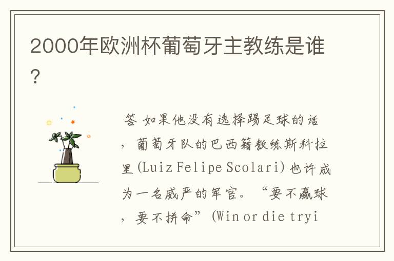 2000年欧洲杯葡萄牙主教练是谁?