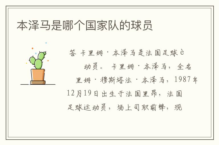 本泽马是哪个国家队的球员