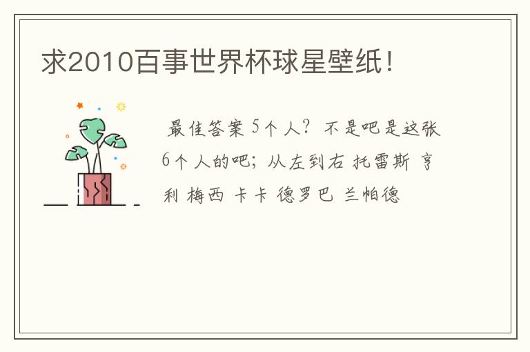 求2010百事世界杯球星壁纸!
