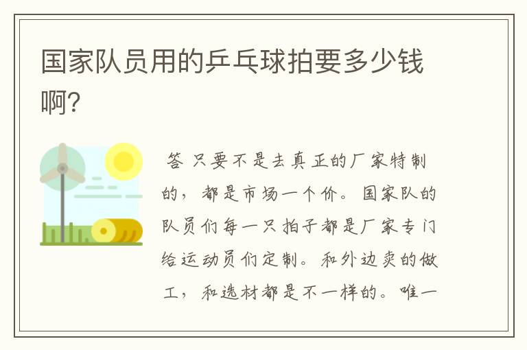 国家队员用的乒乓球拍要多少钱啊?