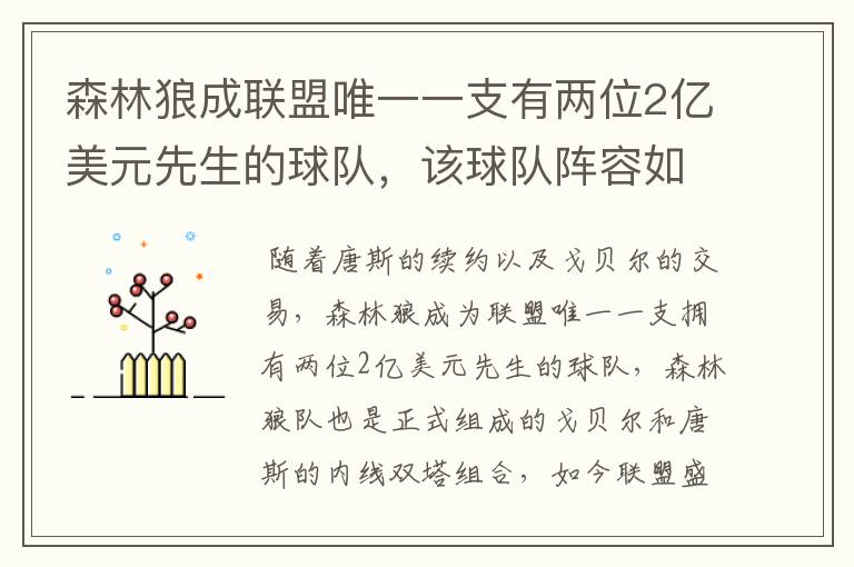 森林狼成联盟唯一一支有两位2亿美元先生的球队,该球队阵容如何?