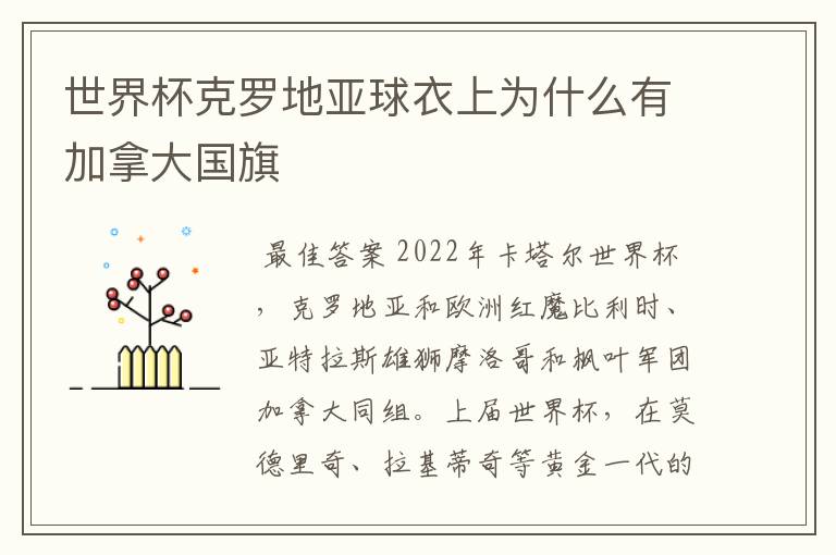 世界杯克罗地亚球衣上为什么有加拿大国旗