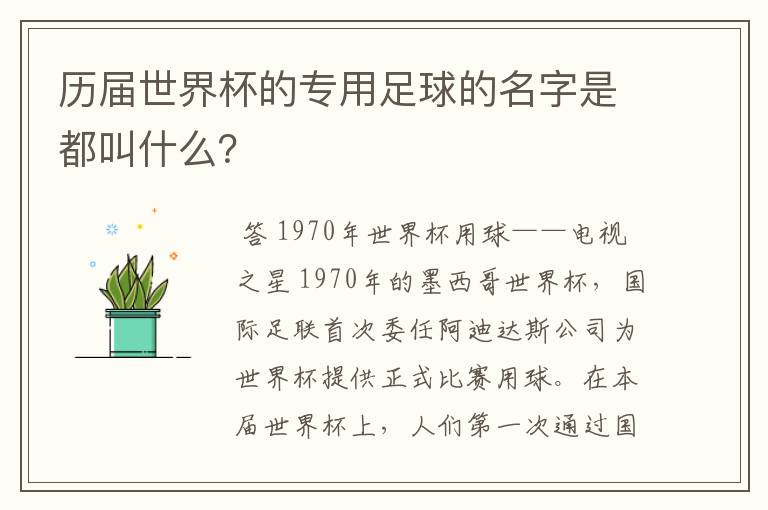 历届世界杯的专用足球的名字是都叫什么?