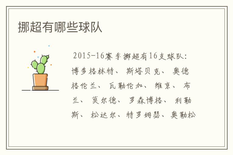 挪超有哪些球队