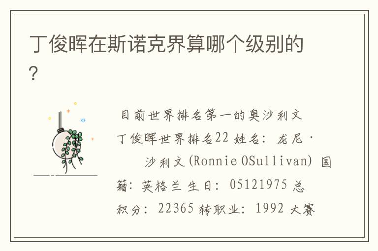 丁俊晖在斯诺克界算哪个级别的?