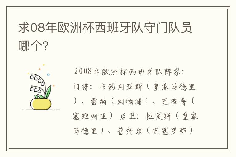 求08年欧洲杯西班牙队守门队员哪个?