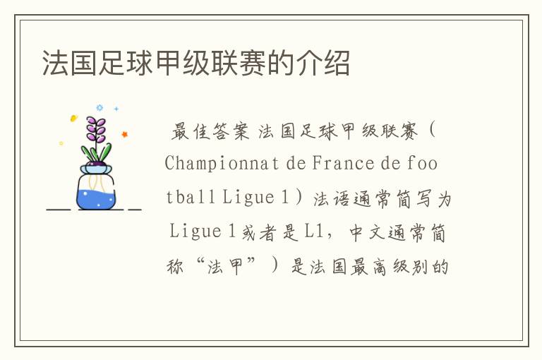 法国足球甲级联赛的介绍