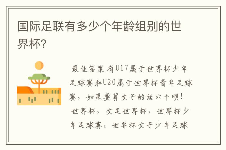 国际足联有多少个年龄组别的世界杯?