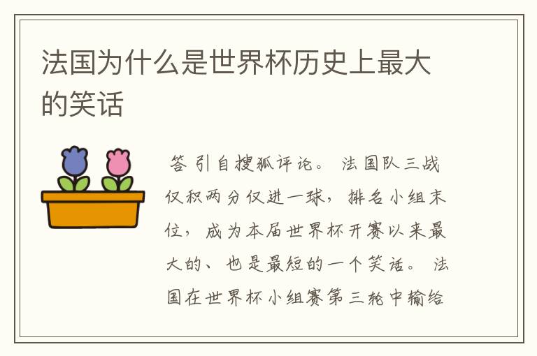 法国为什么是世界杯历史上最大的笑话