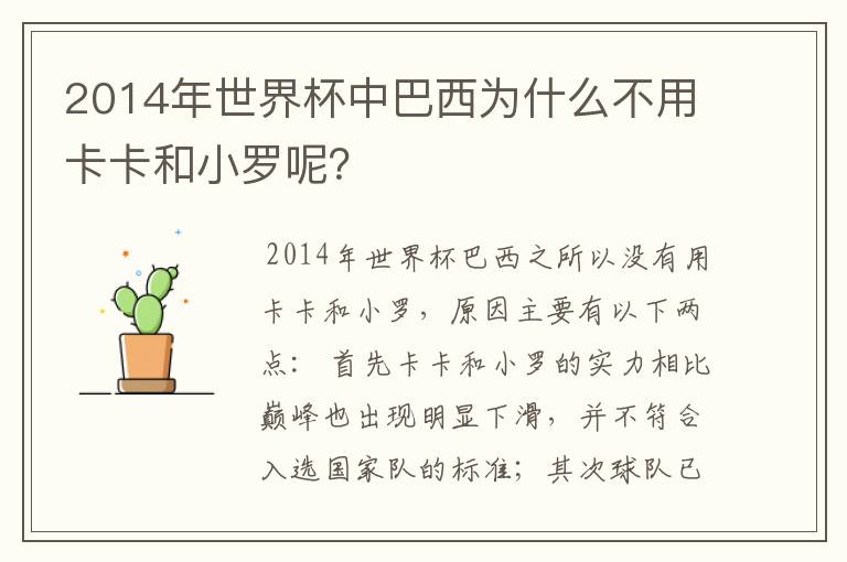 2014年世界杯中巴西为什么不用卡卡和小罗呢?