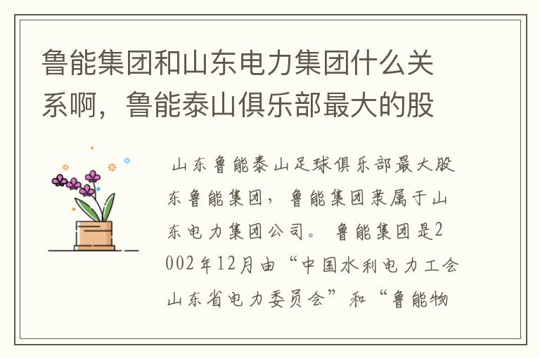 鲁能集团和山东电力集团什么关系啊,鲁能泰山俱乐部最大的股东是那个啊!
