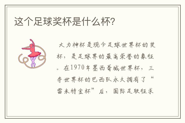 这个足球奖杯是什么杯?