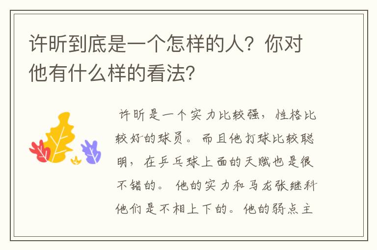 许昕到底是一个怎样的人?你对他有什么样的看法?