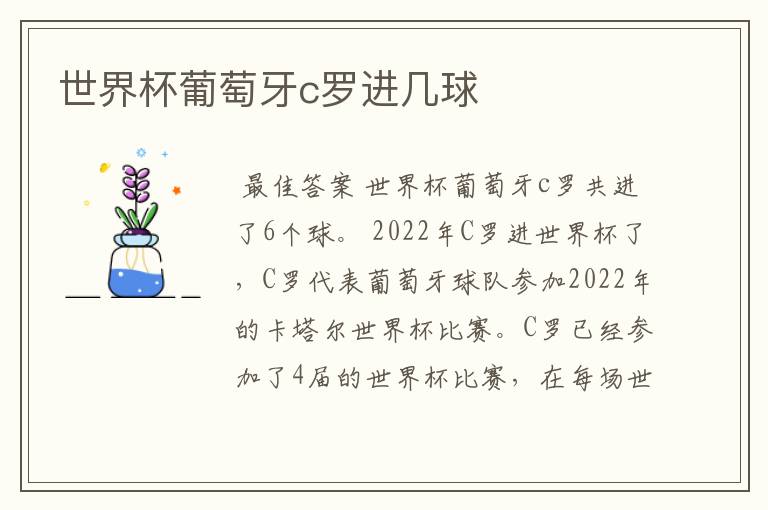 世界杯葡萄牙c罗进几球