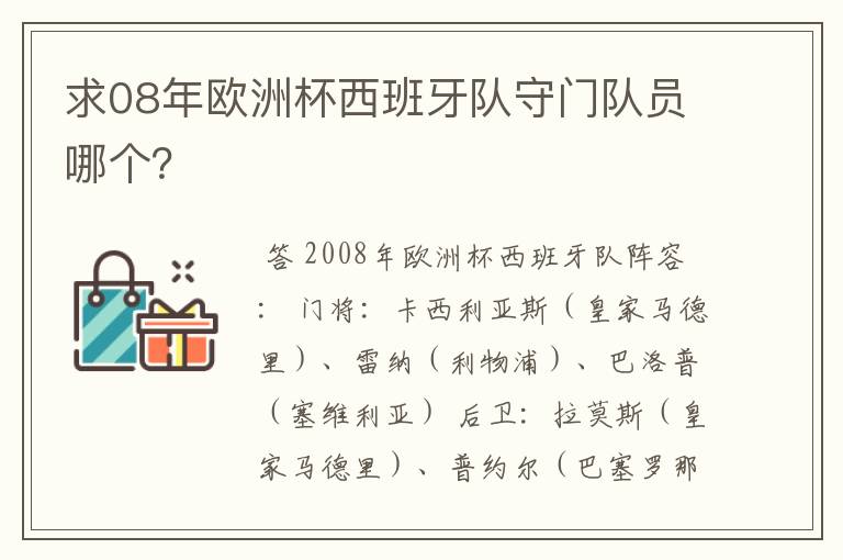 求08年欧洲杯西班牙队守门队员哪个?