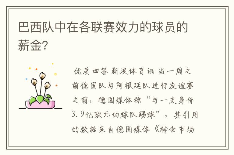 巴西队中在各联赛效力的球员的薪金?
