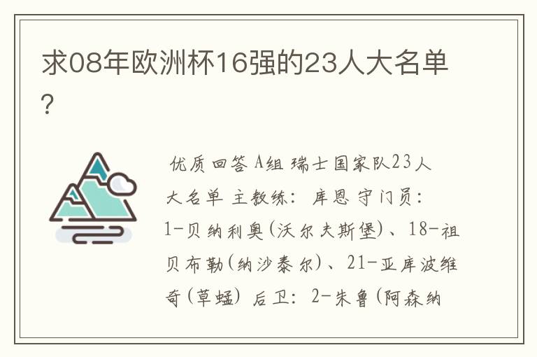 求08年欧洲杯16强的23人大名单?