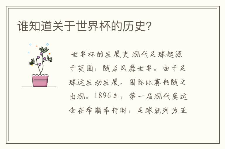 谁知道关于世界杯的历史?