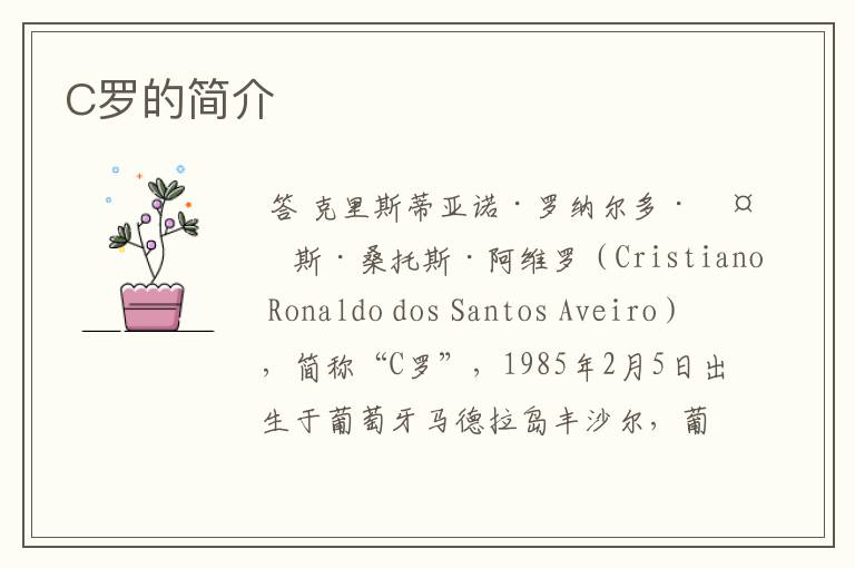 C罗的简介