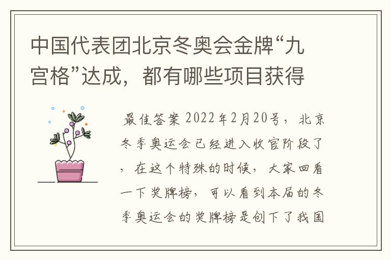 中国代表团北京冬奥会金牌“九宫格”达成,都有哪些项目获得了奖牌?