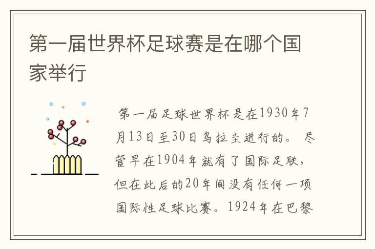 第一届世界杯足球赛是在哪个国家举行