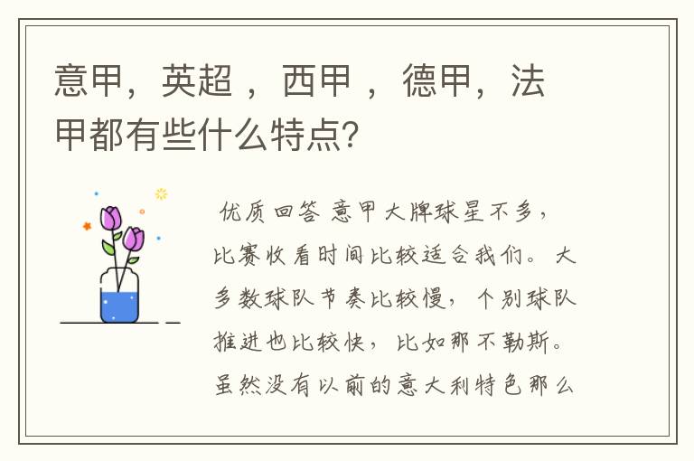 意甲,英超 ,西甲 ,德甲,法甲都有些什么特点?