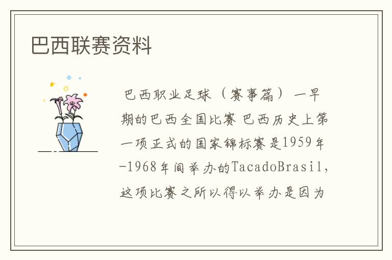 巴西联赛资料