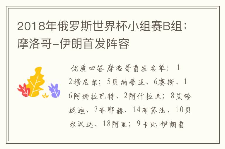 2018年俄罗斯世界杯小组赛B组:摩洛哥-伊朗首发阵容