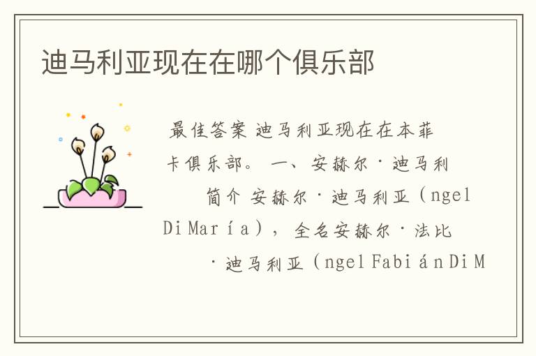 迪马利亚现在在哪个俱乐部