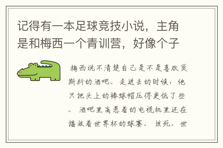 记得有一本足球竞技小说,主角是和梅西一个青训营,好像个子很矮,也有病,不知道有没有人知道?