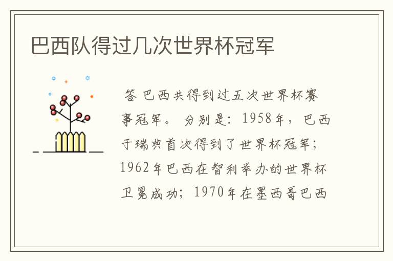 巴西队得过几次世界杯冠军