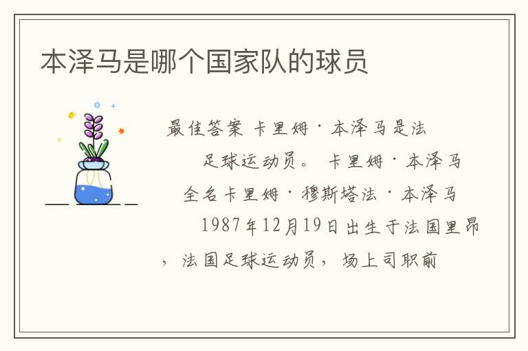 本泽马是哪个国家队的球员