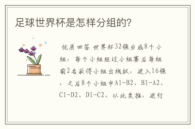 足球世界杯是怎样分组的?