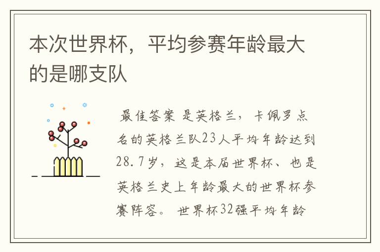 本次世界杯,平均参赛年龄最大的是哪支队