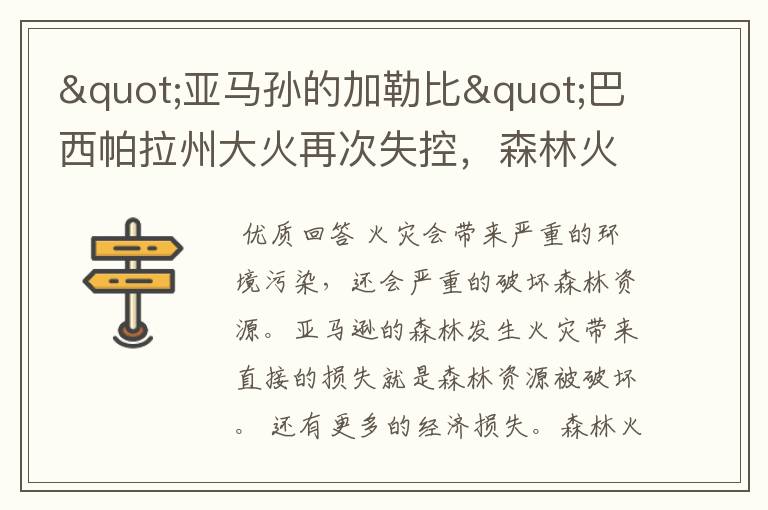 "亚马孙的加勒比"巴西帕拉州大火再次失控,森林火灾会带来什么危害?