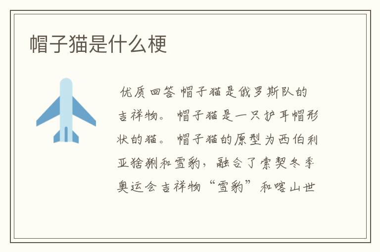 帽子猫是什么梗