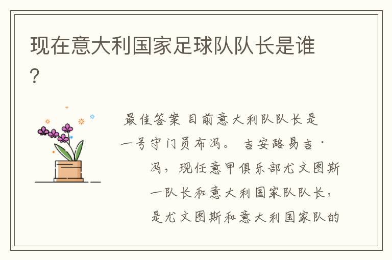 现在意大利国家足球队队长是谁?