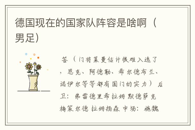 德国现在的国家队阵容是啥啊(男足)