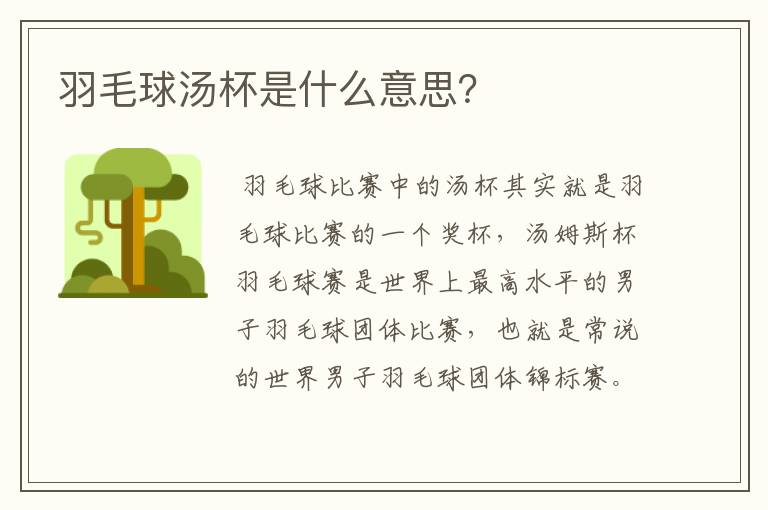羽毛球汤杯是什么意思?