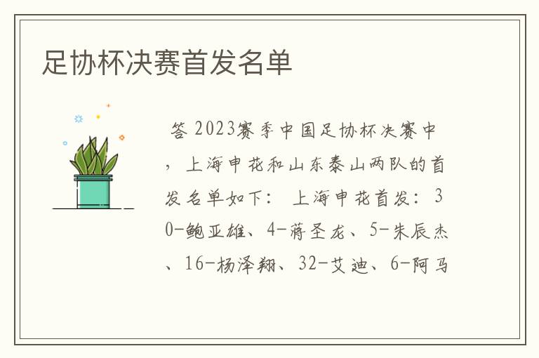 足协杯决赛首发名单