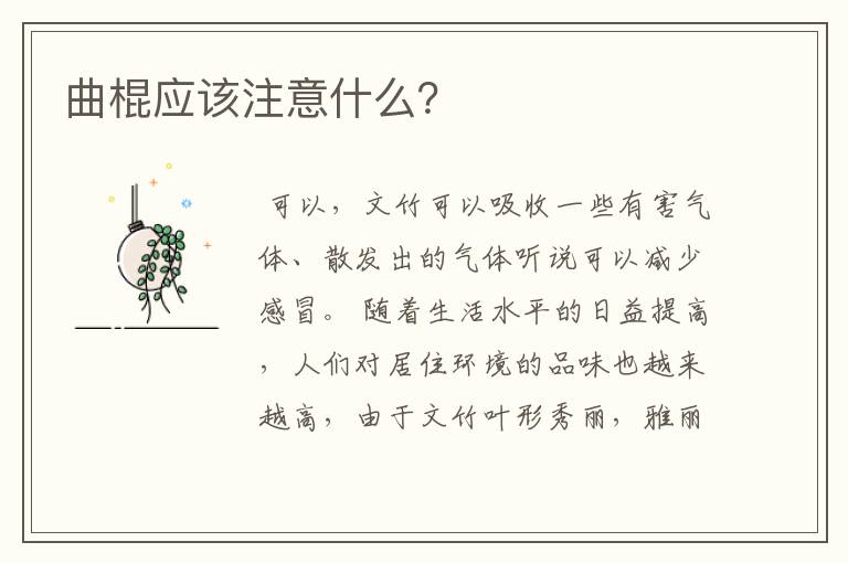 曲棍应该注意什么?