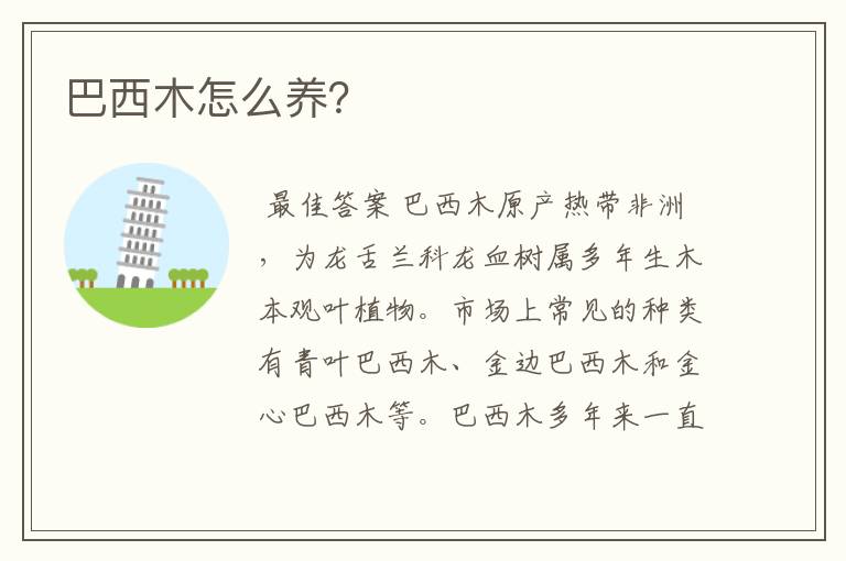巴西木怎么养?
