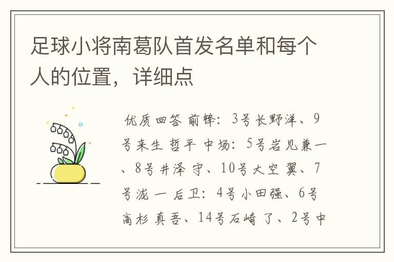 足球小将南葛队首发名单和每个人的位置,详细点