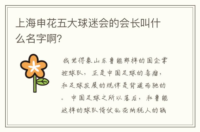 上海申花五大球迷会的会长叫什么名字啊?