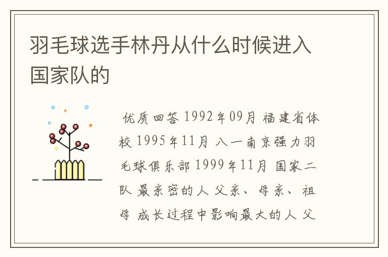 羽毛球选手林丹从什么时候进入国家队的
