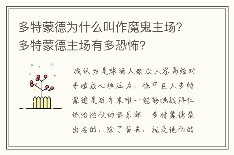 多特蒙德为什么叫作魔鬼主场?多特蒙德主场有多恐怖?